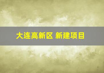 大连高新区 新建项目